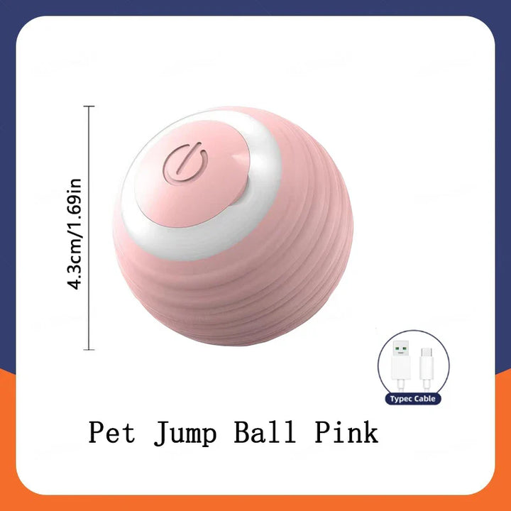 Smart Dog Toy Ball Interactive